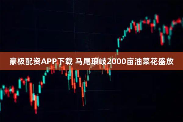 豪极配资APP下载 马尾琅岐2000亩油菜花盛放