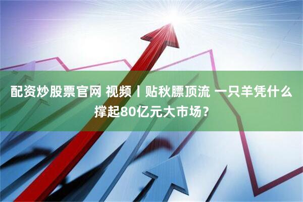 配资炒股票官网 视频丨贴秋膘顶流 一只羊凭什么撑起80亿元大市场？